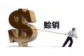 德宏融资清欠服务